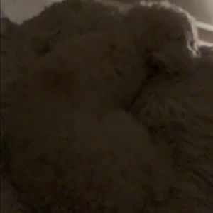 Meet your Posher, Alexander